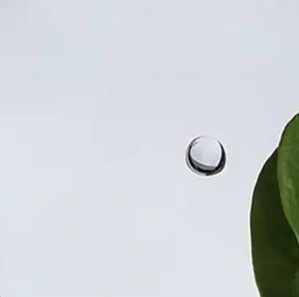 镜面板
