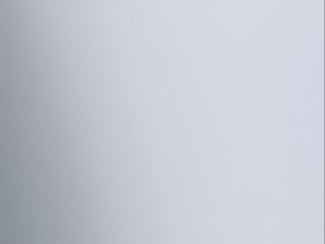 苹果砂